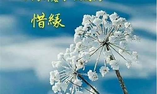 简短的祝福句子_简短的祝福句子十字